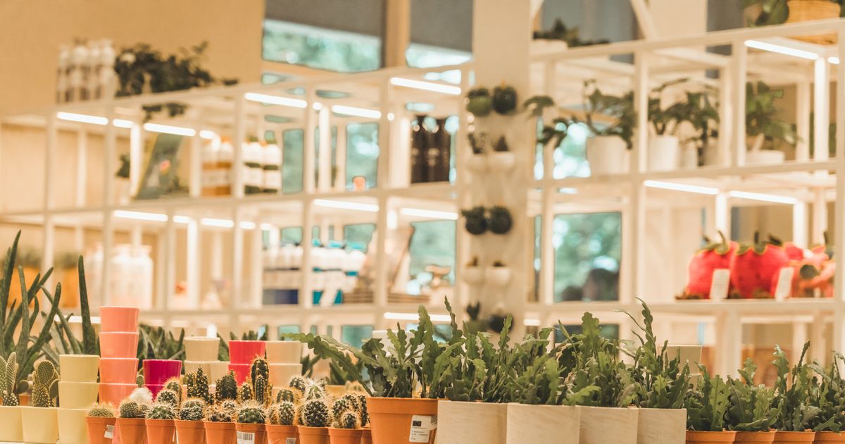 Tuinwinkel Plantentuin Meise