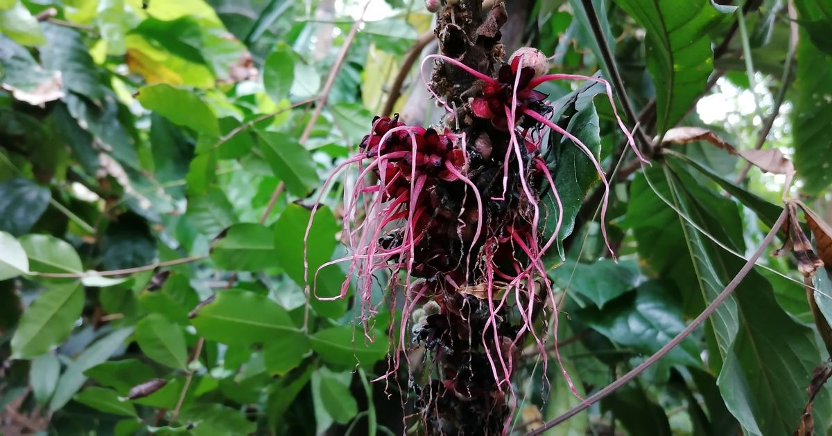 identificationとは 意味・読み方・使い方 visual data 4