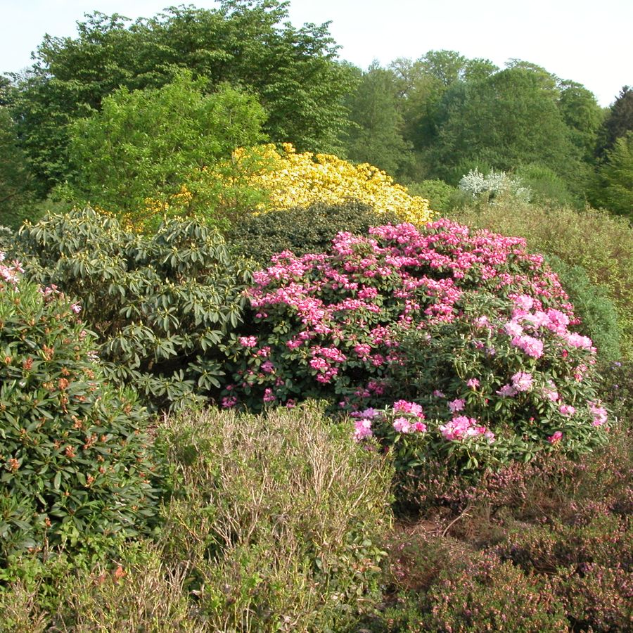 Welcome to the Botanic Garden!